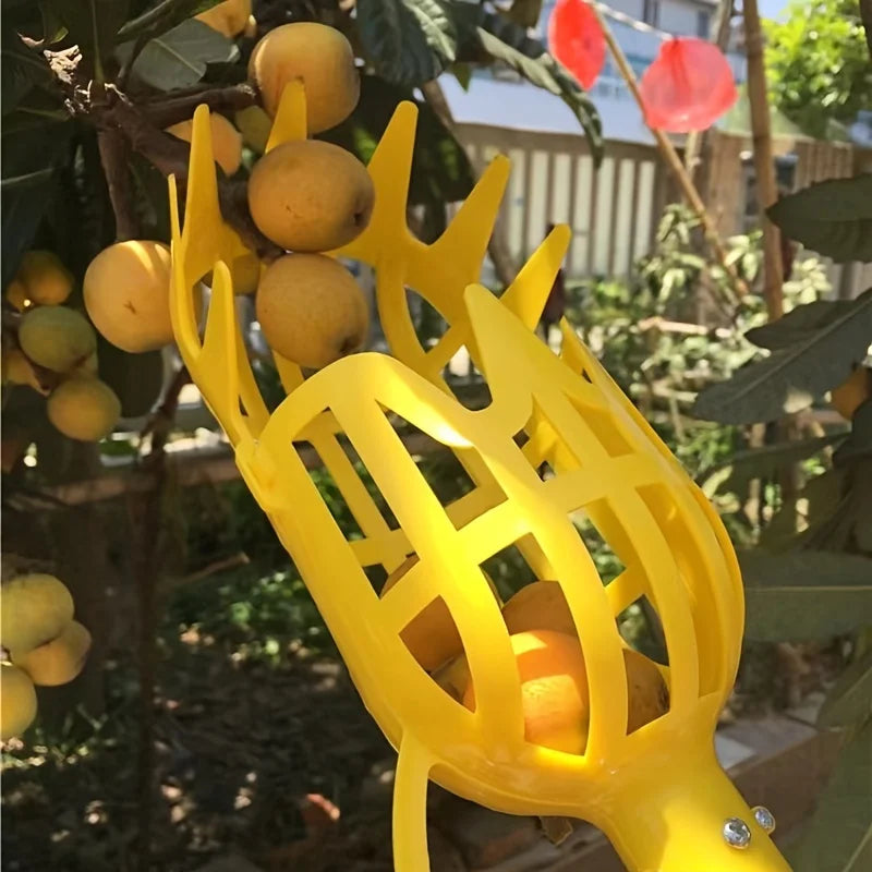 Cueille-fruits télescopique